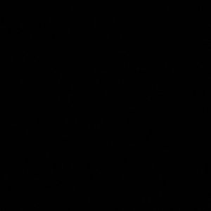 Meet your Posher, Dayana